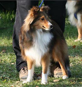 Traiskirchen 2008