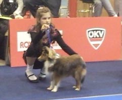 Juniorhandling