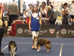 Tulln 2009